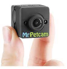 Mr. Petcam